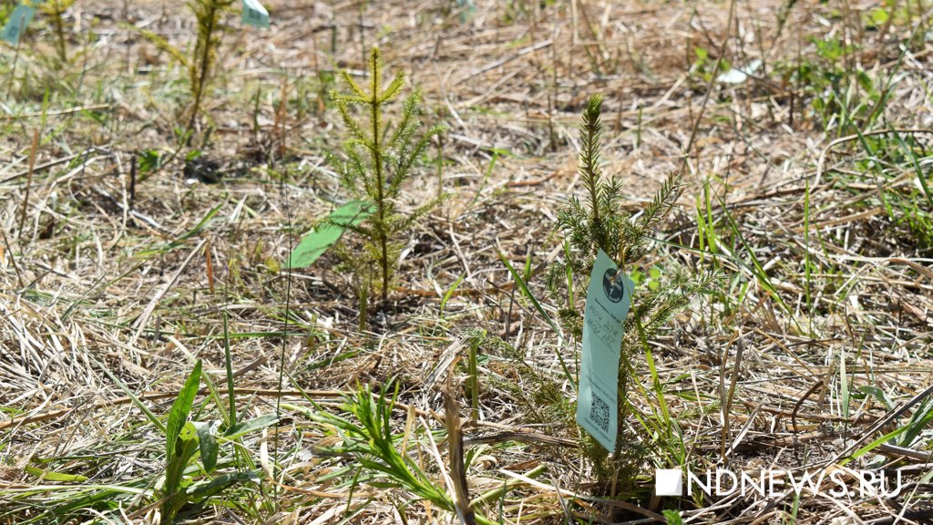 Энергетики рассказали екатеринбуржцам, как и зачем беречь ресурсы планеты (ФОТО)