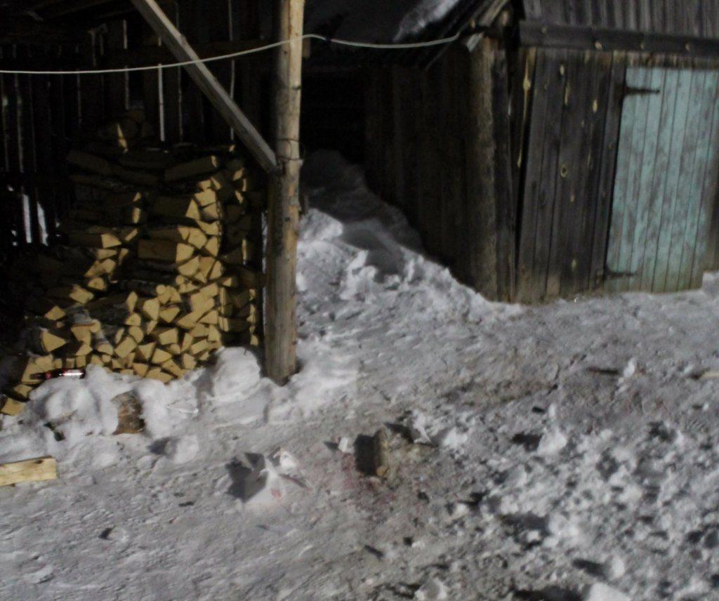 В Нижних Сергах близнецов, которые подожгли собутыльника, отправят в психбольницу