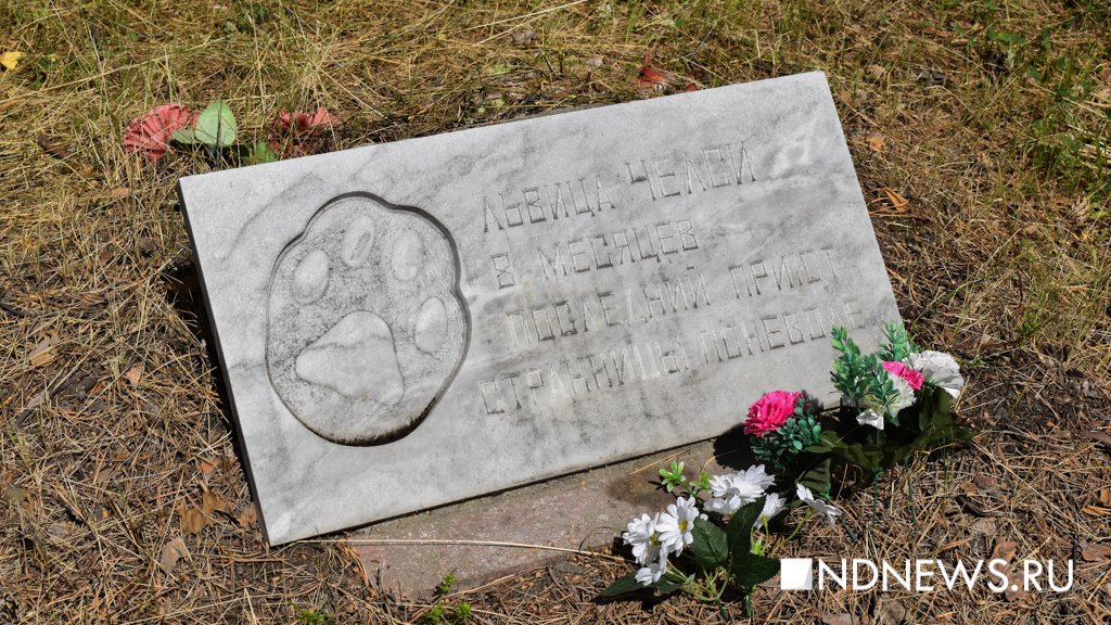 На радуге. Как в Екатеринбурге хоронят домашних питомцев (ФОТО, ВИДЕО)