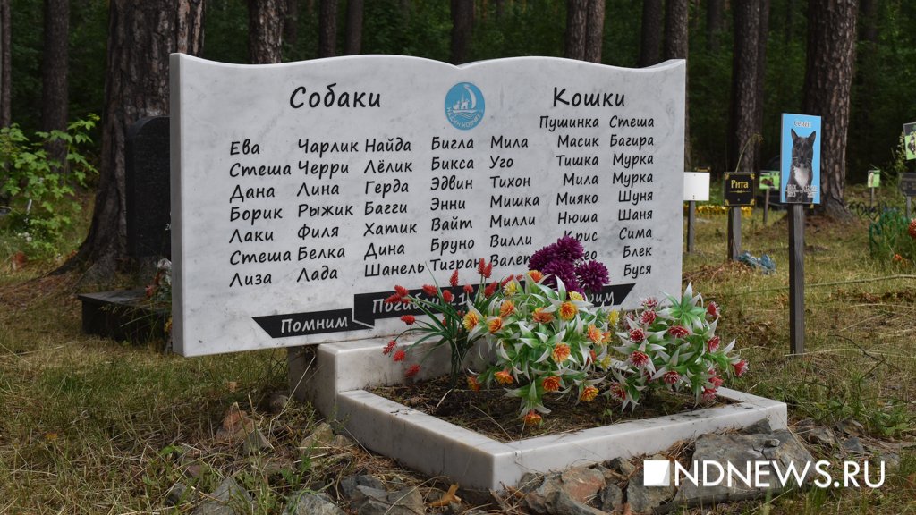 На радуге. Как в Екатеринбурге хоронят домашних питомцев (ФОТО, ВИДЕО)