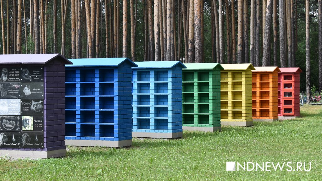 На радуге. Как в Екатеринбурге хоронят домашних питомцев (ФОТО, ВИДЕО)