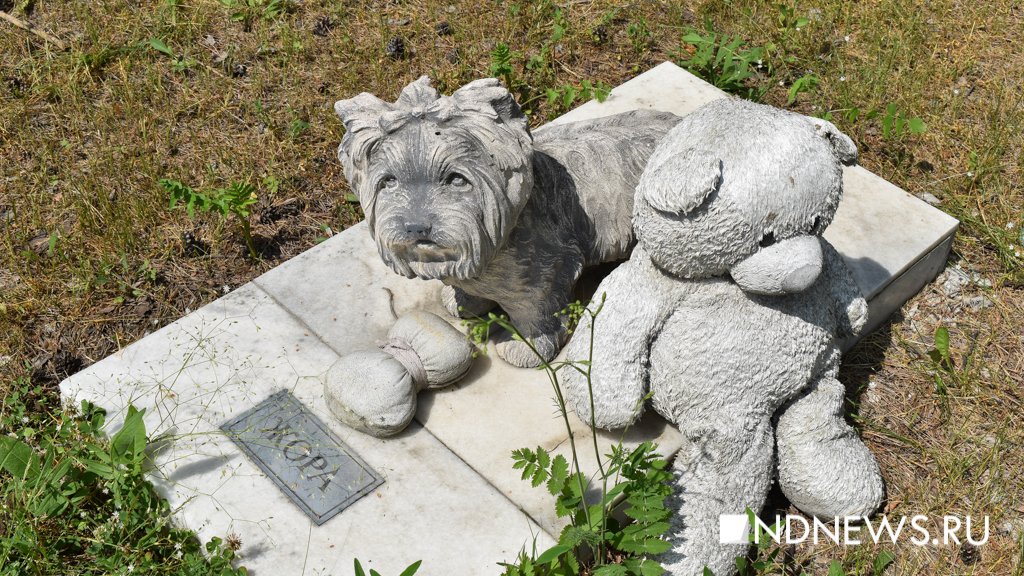 На радуге. Как в Екатеринбурге хоронят домашних питомцев (ФОТО, ВИДЕО)
