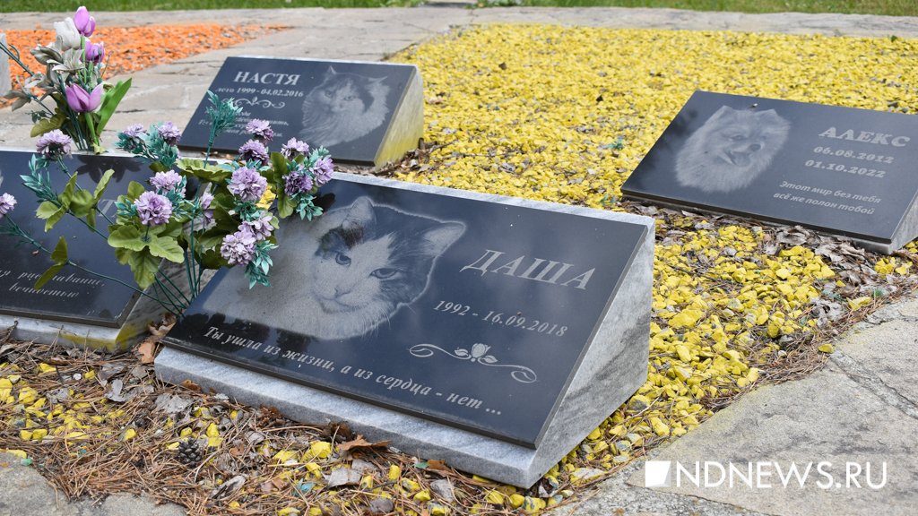 На радуге. Как в Екатеринбурге хоронят домашних питомцев (ФОТО, ВИДЕО)