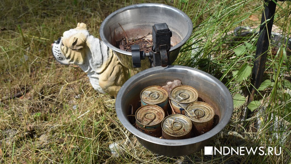 На радуге. Как в Екатеринбурге хоронят домашних питомцев (ФОТО, ВИДЕО)