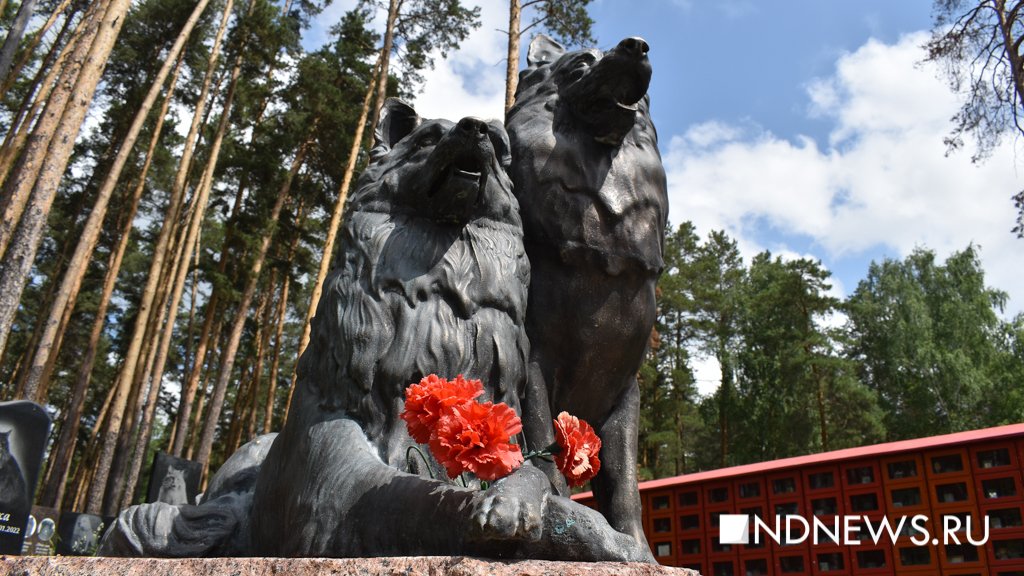На радуге. Как в Екатеринбурге хоронят домашних питомцев (ФОТО, ВИДЕО)