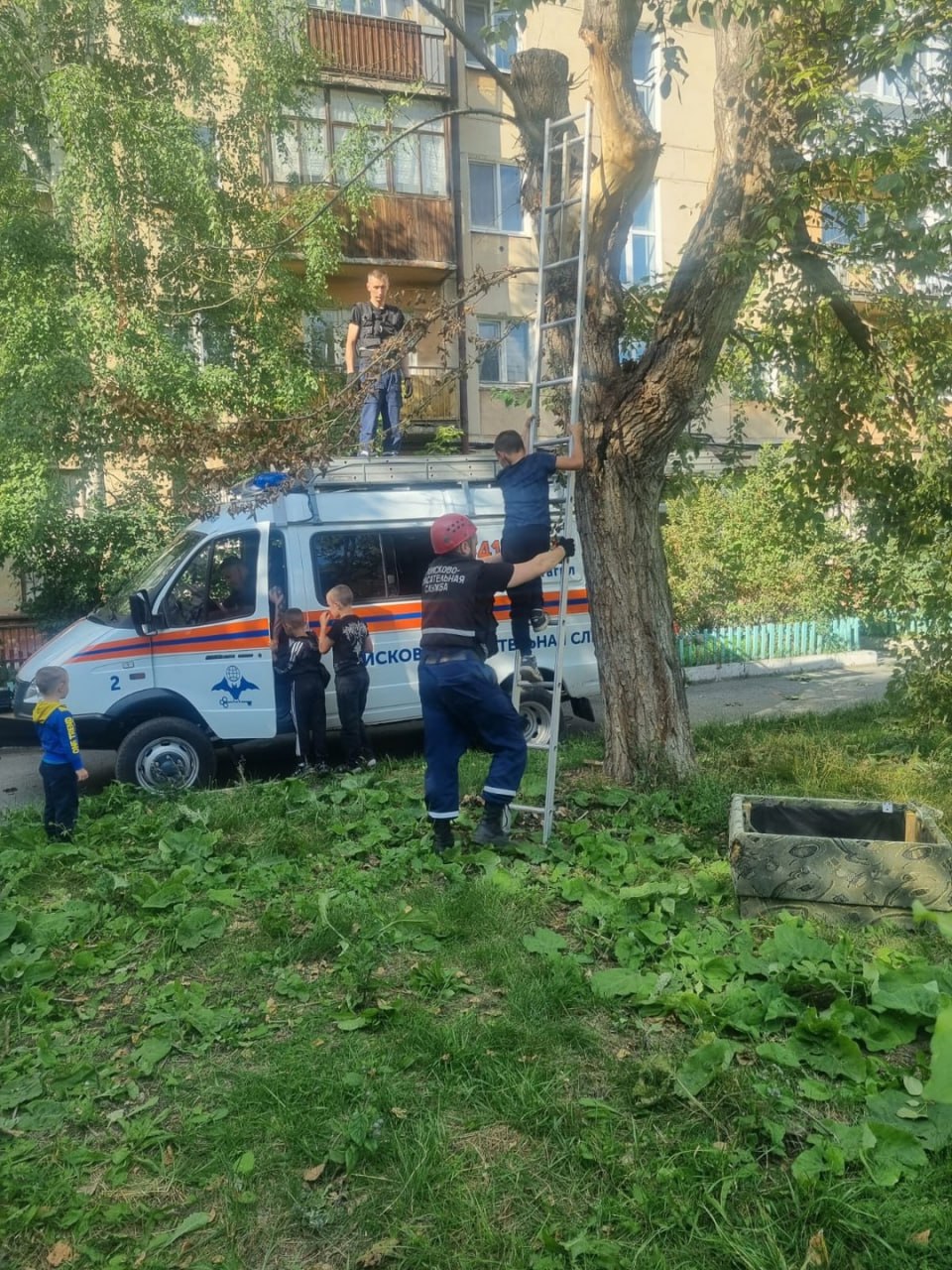 В Нижнем Тагиле дети залезли на дерево и не смогли слезть
