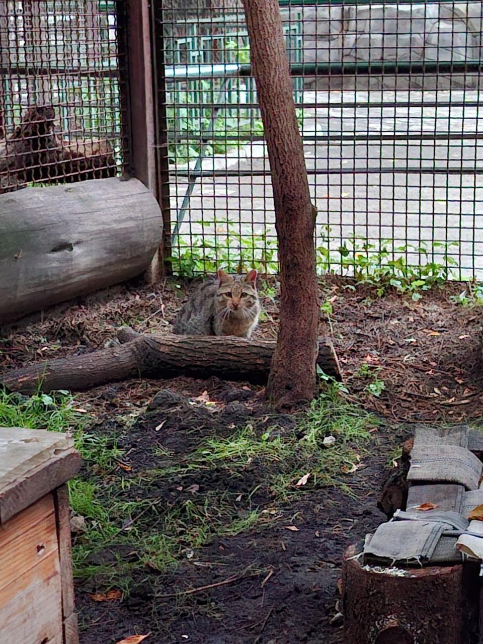 Екатеринбургский зоопарк получил живой подарок из Новосибирска (ФОТО)