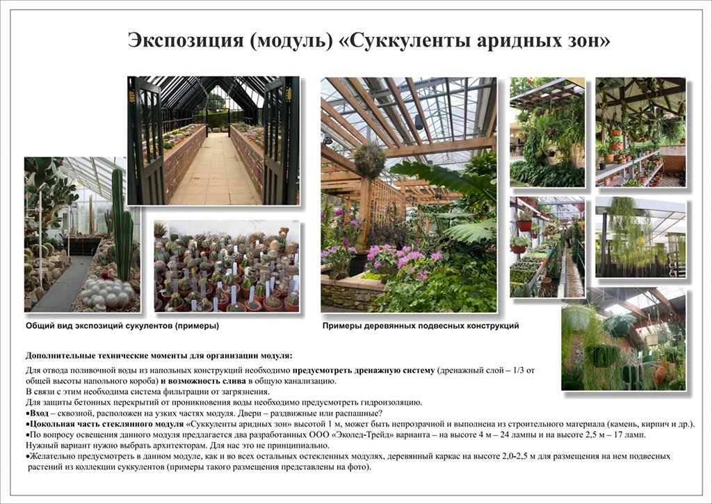 Орхидеи, суккуленты, папоротники: сотрудники ботсада ЧелГУ рассказали о зеленом атриуме, который появится в кампусе