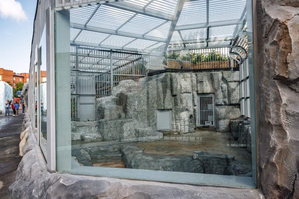 Алексей Орлов поздравил с новосельем бурых медведей (ФОТО)