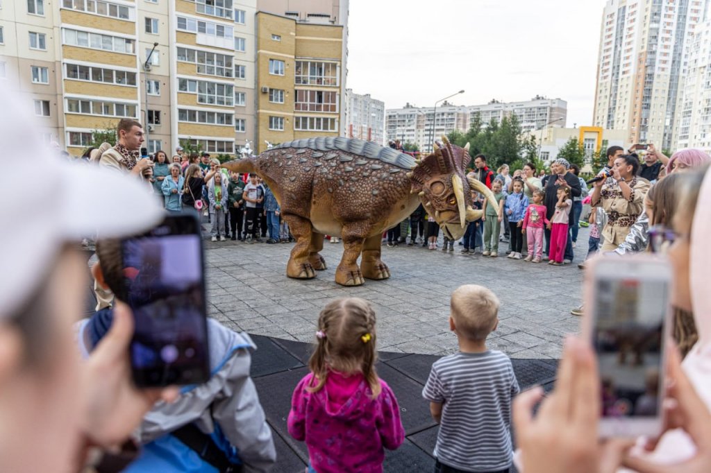Жильцы с помощью депутата добились бюджетного финансирования дворовой площадки
