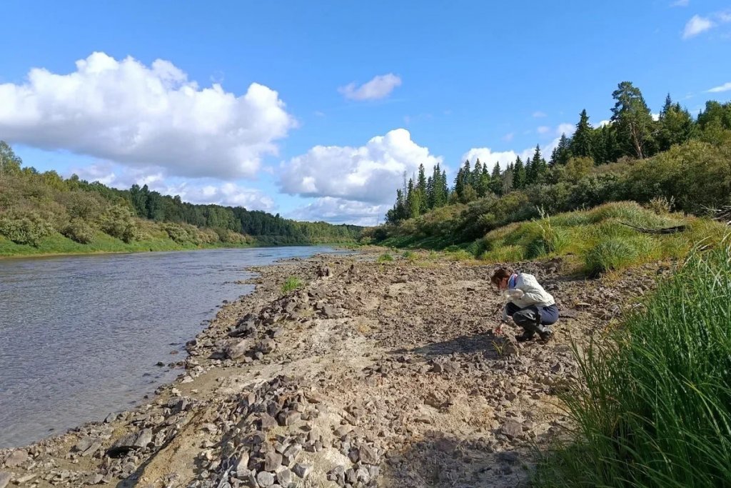 На Урале нашли зуб 21-метрового кита, жившего здесь 37 млн лет назад (ФОТО)