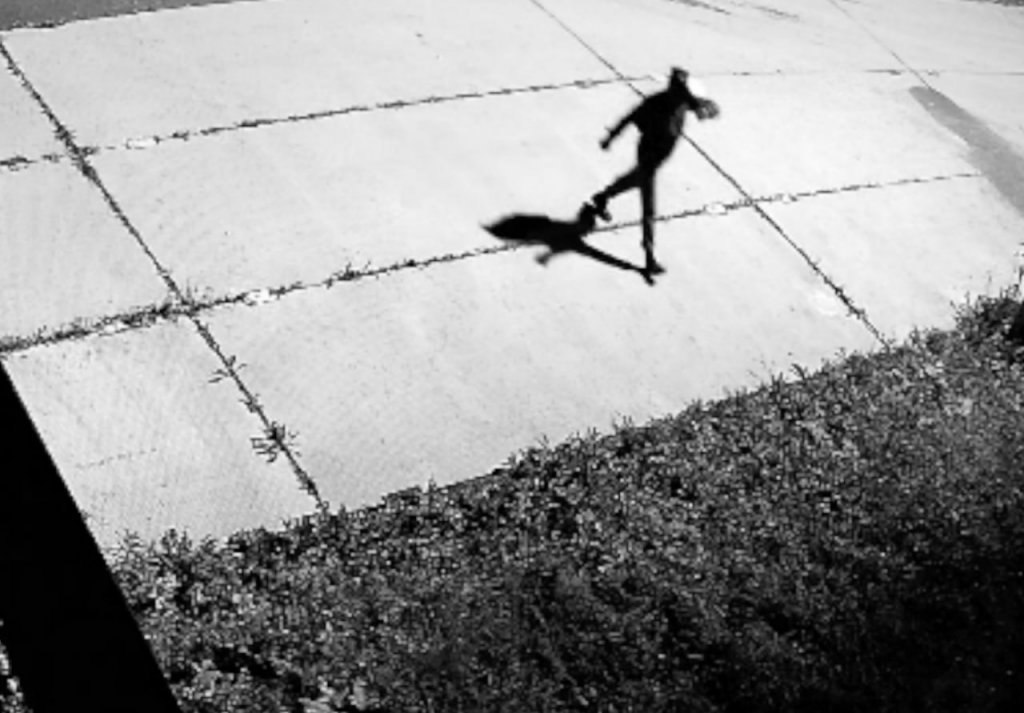 Воры украли из богатых коттеджей часы, золото, самокаты, алкоголь и фен «Дайсон» (ФОТО)