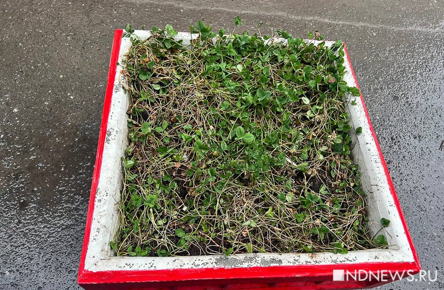 Наступил самый депрессивный месяц года на Урале (ФОТО)