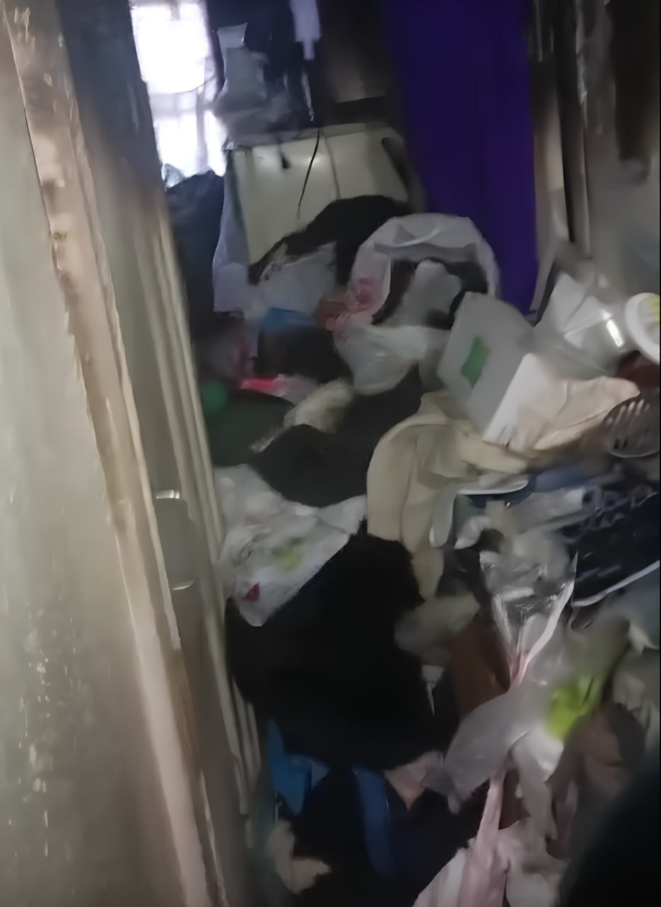 Екатеринбурженка похоронила плиту под горами мусора и оставила соседей без газа (ФОТО)