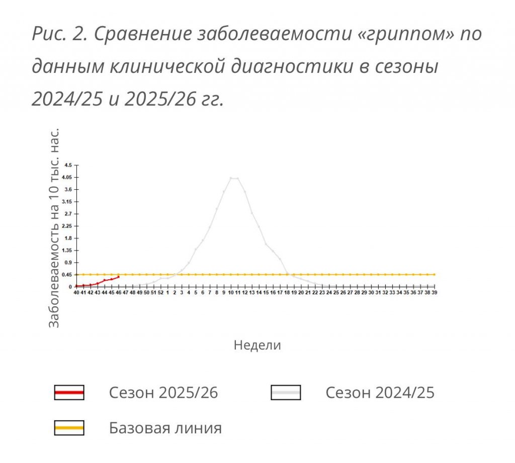 Грипп пришел на Урал раньше обычного