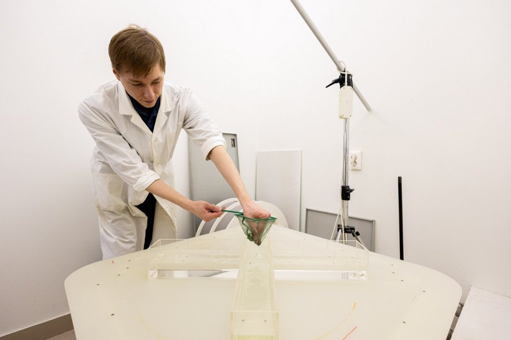 Уральские ученые изучили реакцию рыбок-зебр на стресс (ФОТО)