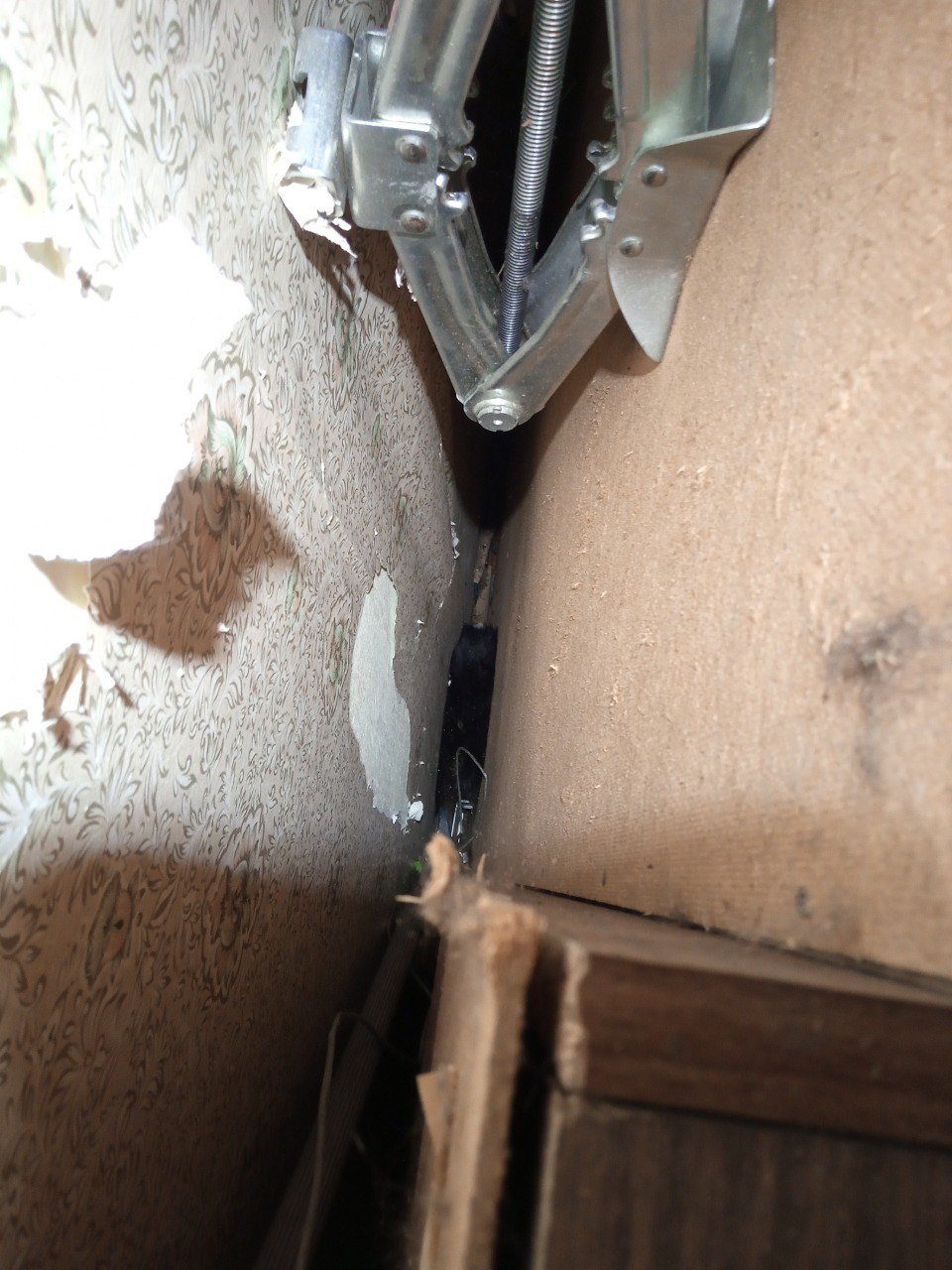 В Екатеринбурге спасли кошку, застрявшую на несколько дней за шкафом (ФОТО)