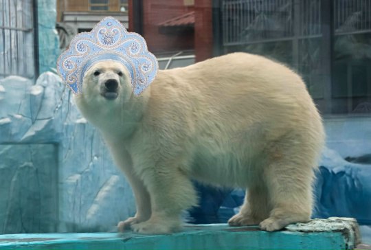 В зоопарке выбрали Снегурочку