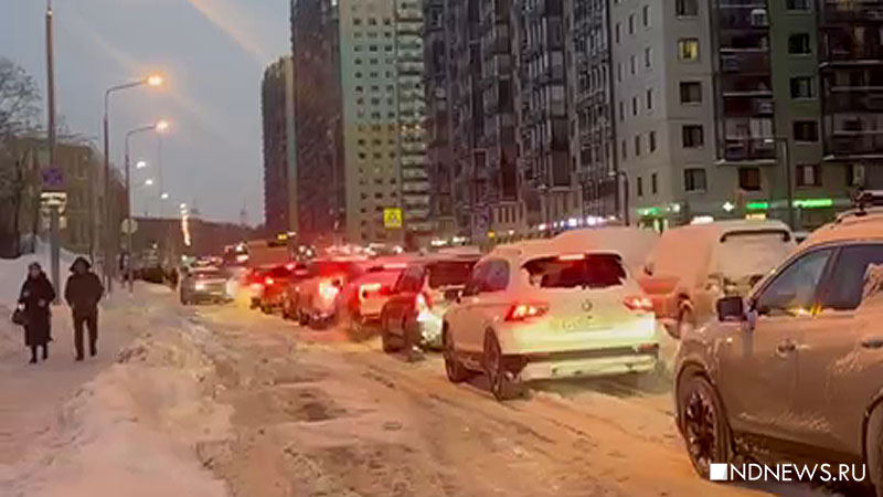 москвичи пожаловались Татьяне Москальковой