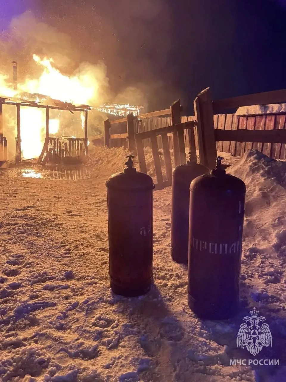 Пожарные спасли из горящей конюшни 10 лошадей (ФОТО)