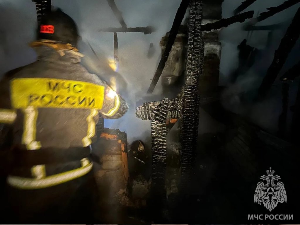 Пожарные спасли из горящей конюшни 10 лошадей (ФОТО)