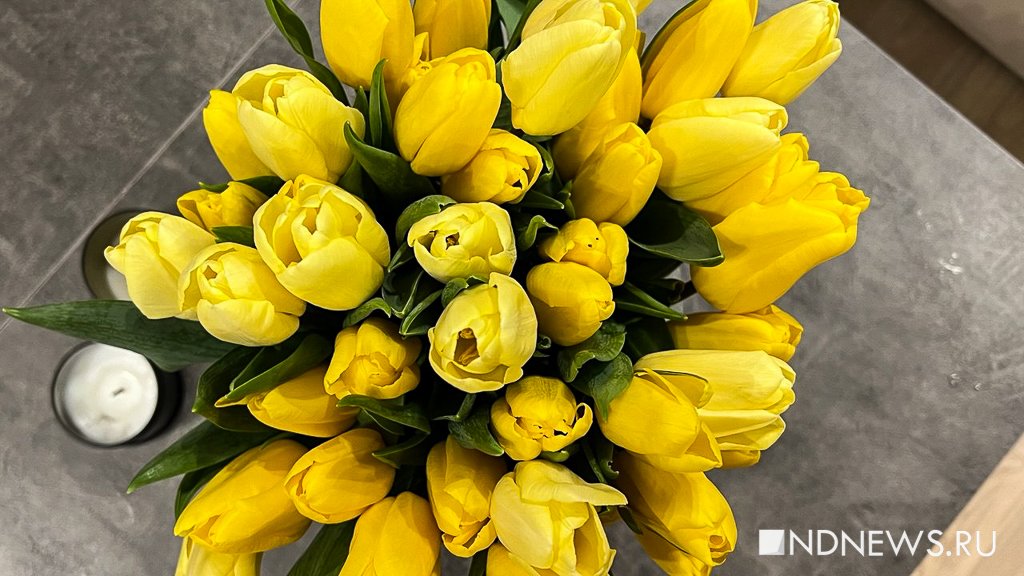 Флорист объяснила, как продлить тюльпанам жизнь на две недели