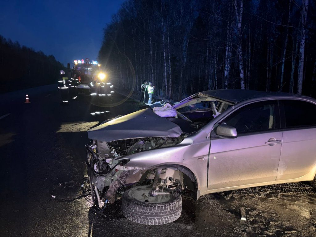 В страшном ДТП под Режом погибли три человека, еще двое в больнице (ФОТО)