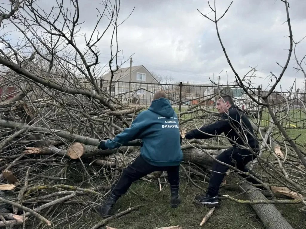 помогли с уборкой, гумпомощью и техникой для военных