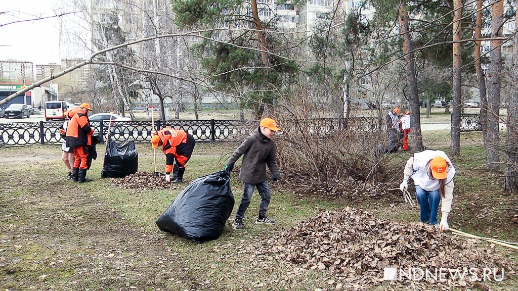 Энергетические компании Урала провели совместный субботник в парке Чкалова (ФОТО, ВИДЕО)