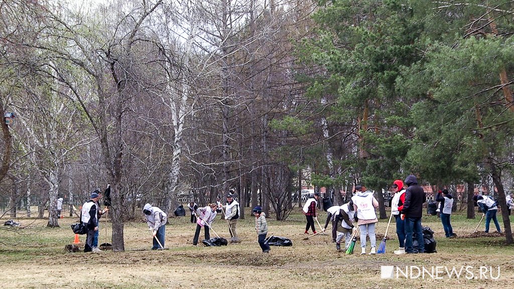 Энергетические компании Урала провели совместный субботник в парке Чкалова (ФОТО, ВИДЕО)