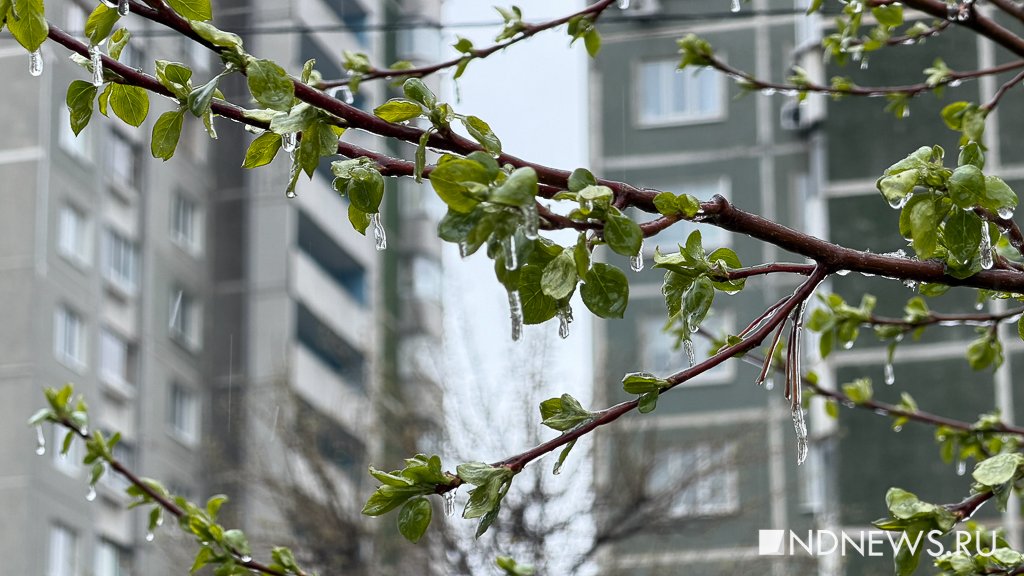 В Екатеринбурге пошел ледяной дождь