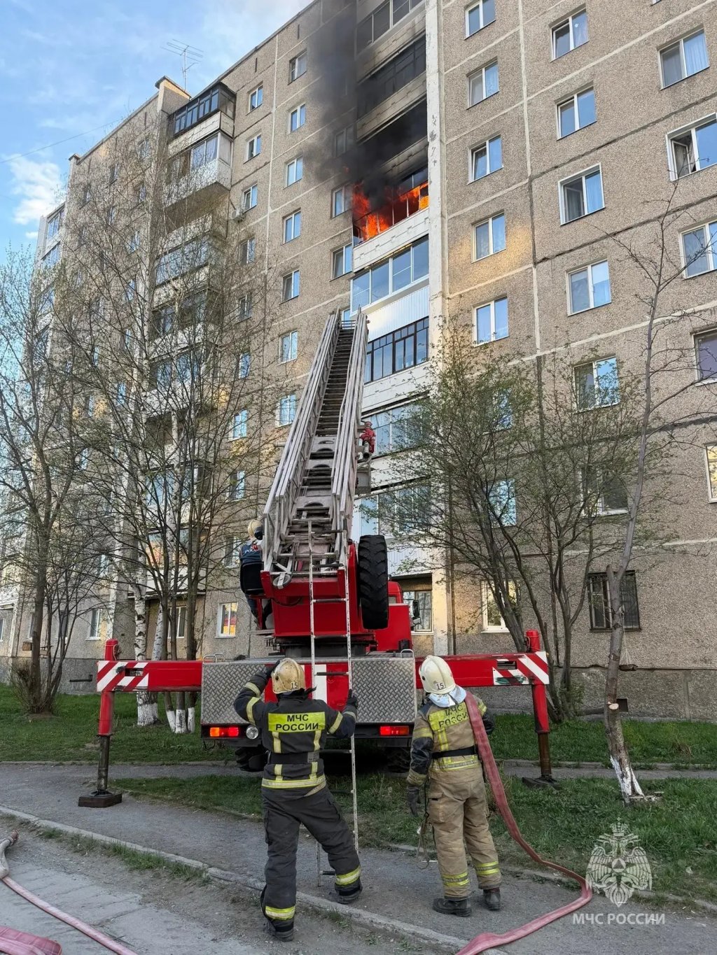 В Нижнем Тагиле из горящей квартиры спасли кота (ФОТО)