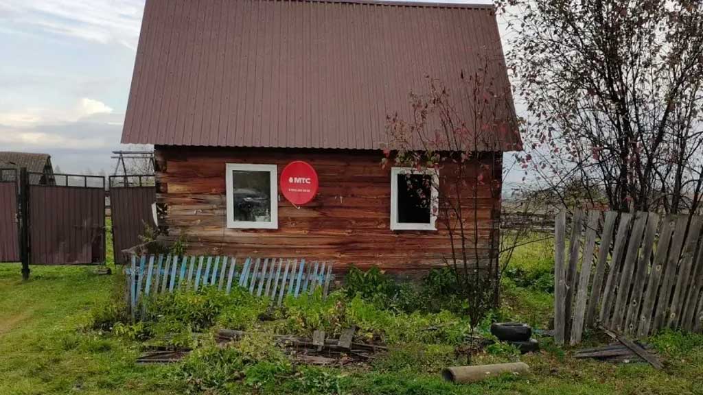 медведь расправился с женщиной в красноярском селе