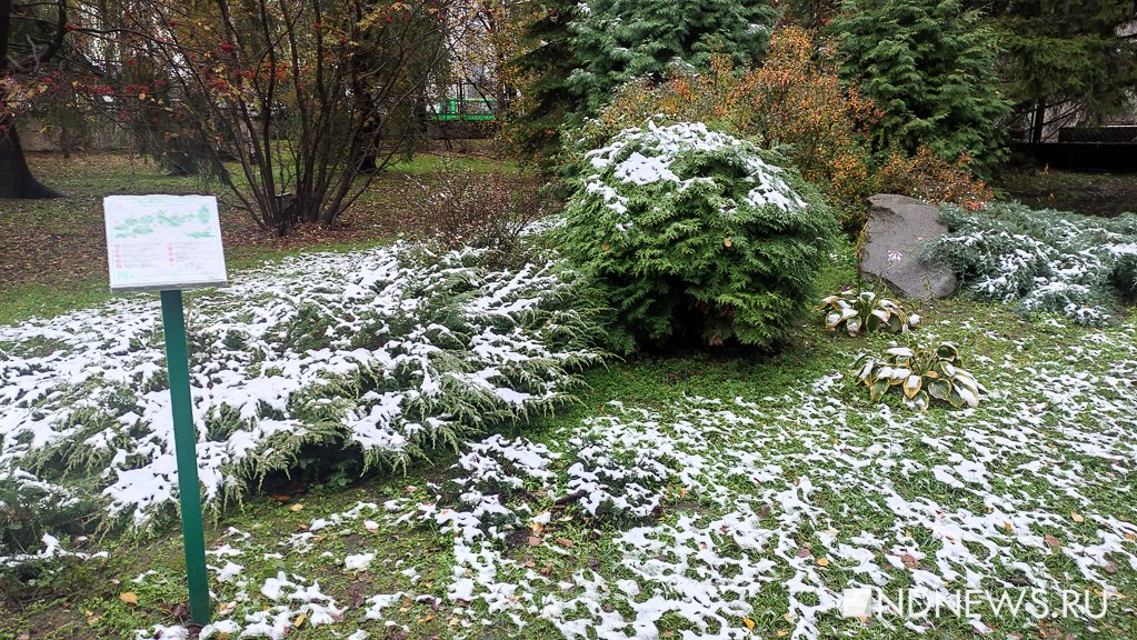 В Свердловской области высота снежного покрова в некоторых местах достигла 27 см